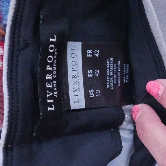 Liverpool pants gray suede - Picture 2 of 3